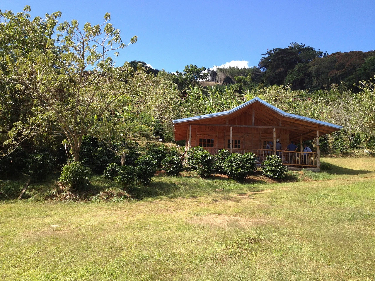 Purchase El Balar coffee with flavors of Red Apple, Citrus, Sweet