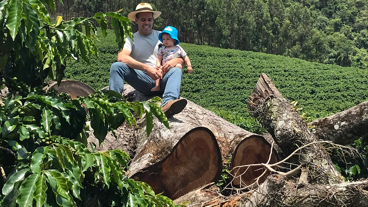 Classic: Santa Lucia #1